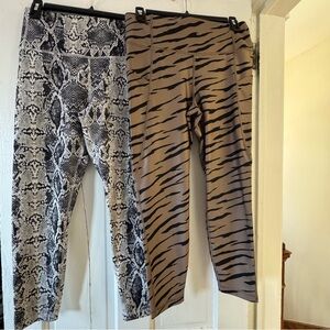 Zebra GAP leggings